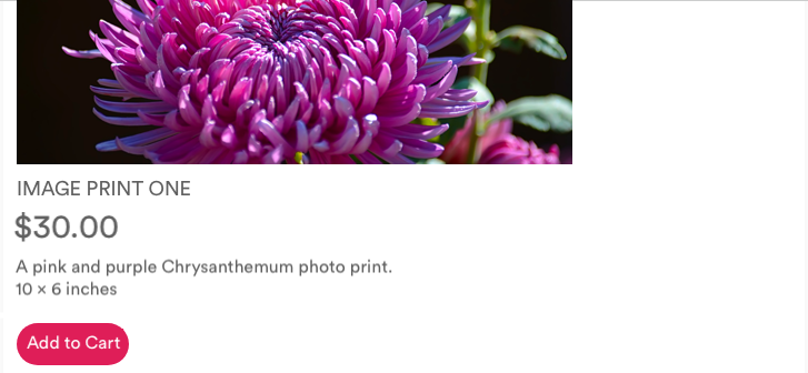 Quickblog | Add To Cart CTA
